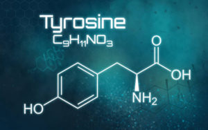 tyrosine-health-benefits-and-best-sources